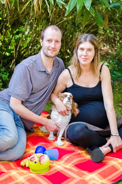 犬および妊娠の所管公園と幸せな家族 — ストック写真