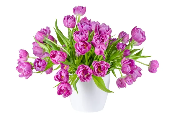Bouquet of pink tulips in flowerpot isolated on white — Stock Photo, Image