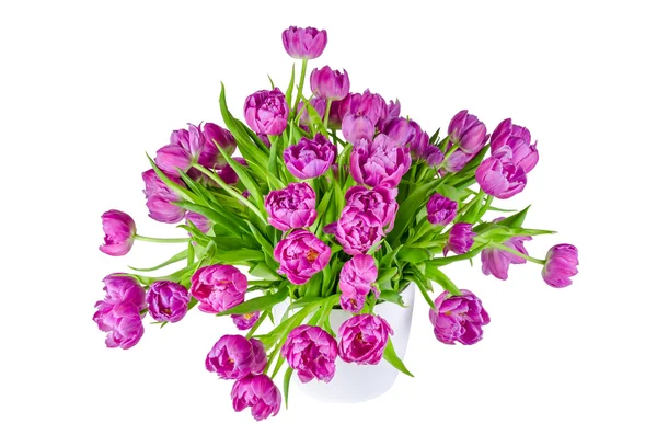 Bouquet of pink tulips in flowerpot isolated on white — Stock Photo, Image