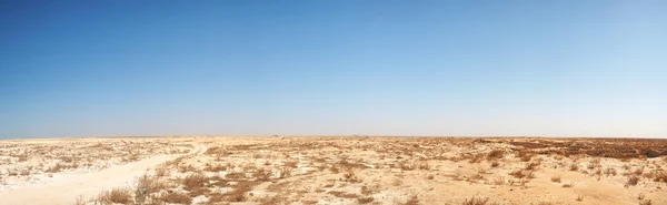 Panoramic image of middle eastern desert — Stock Photo, Image