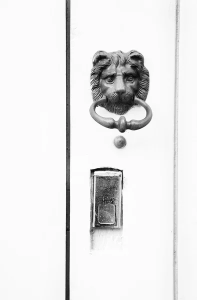 Knocker in the form of a lion's head — Stock Photo, Image