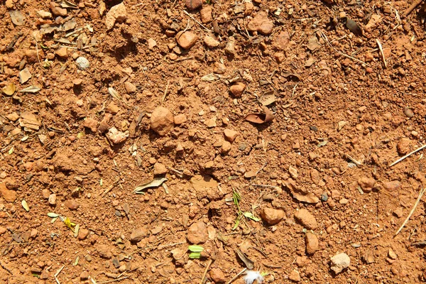 Natuurlijke bruin grond achtergrond met enkele elementen van de plant — Stockfoto