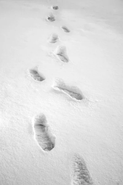 Impronte sulla neve — Foto Stock