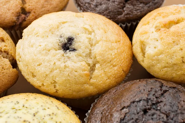 A Plate of muffins - Caramel muffin in focus — Stock Photo, Image