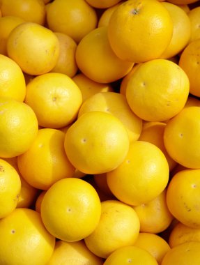 taze narenciye arka plan