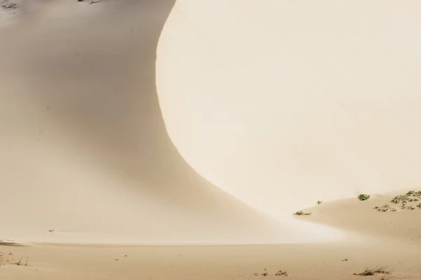 砂丘と青空 — ストック写真