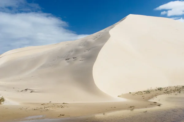 砂丘の横川 — ストック写真