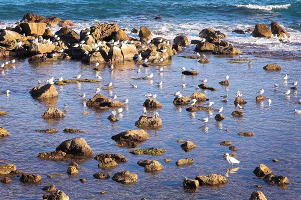 Uma vista do oceano em Antibes, França . — Fotografia de Stock