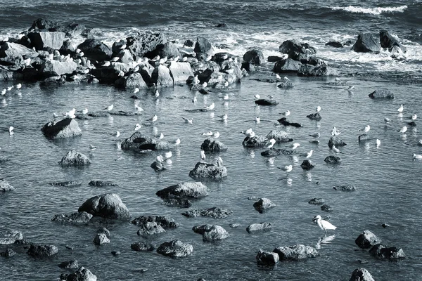 Pohled na oceán v antibes, Francie. — Stock fotografie