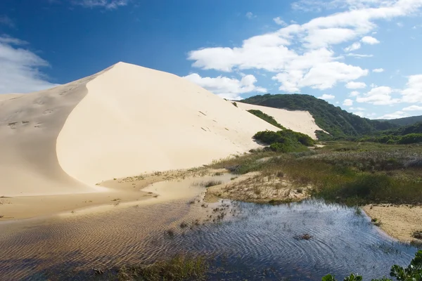 Río junto a las dunas de arena —  Fotos de Stock