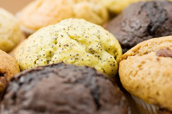 A Plate of muffins — Stock Photo, Image