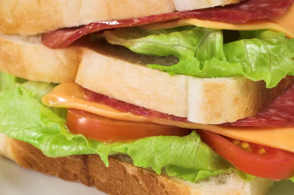 Sanduíche de salame, queijo, tomate e alface em um prato branco . — Fotografia de Stock