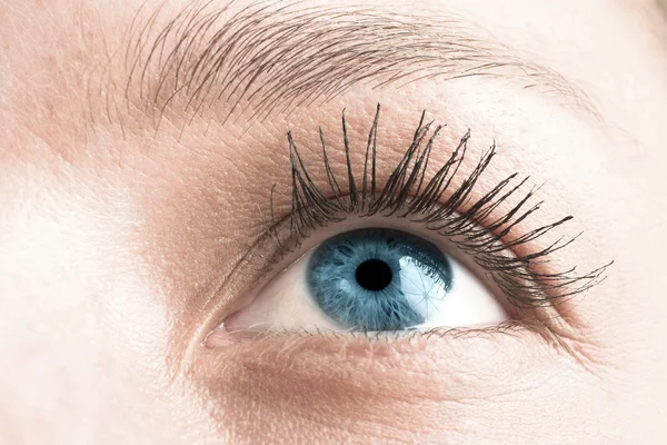 Close-up de um olho azul — Fotografia de Stock