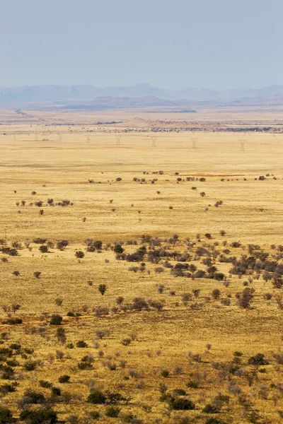 Вид на пустыню — стоковое фото