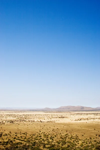 砂漠の景色 — ストック写真