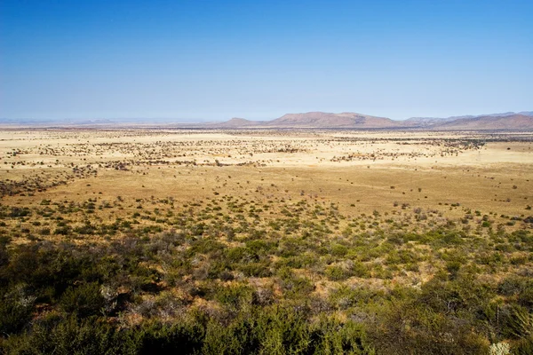 Desert views — Stock Photo, Image