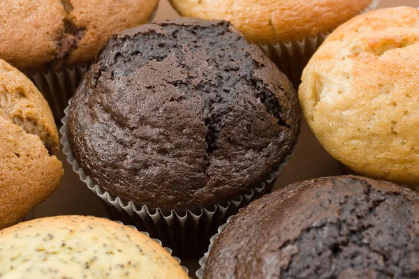 A Plate of muffins — Stock Photo, Image