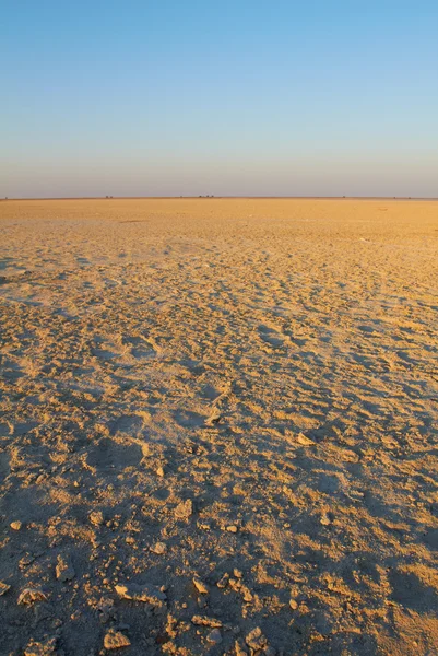 Die trockene makgadikgadi pfanne in der nähe von nata im nordöstlichen botswana, südafrika — Stockfoto