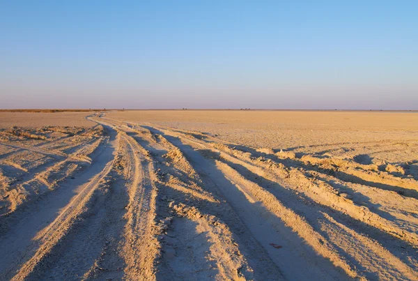 El seco Makgadikgadi Pan cerca de Nata en el noreste de Botswana, África del Sur —  Fotos de Stock
