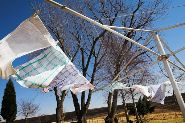 Rüzgarda çamaşır hatta çay havlu — Stok fotoğraf