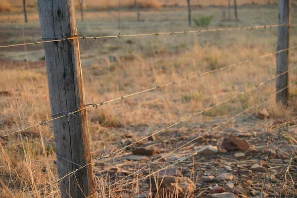 Fence post at sunset — Stock Photo, Image