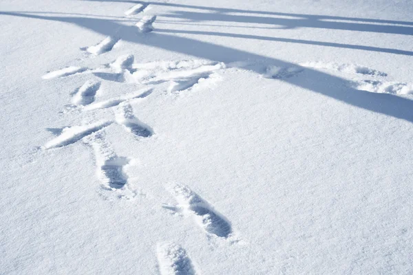 Footprints and shadows of in snow — Stock Photo, Image
