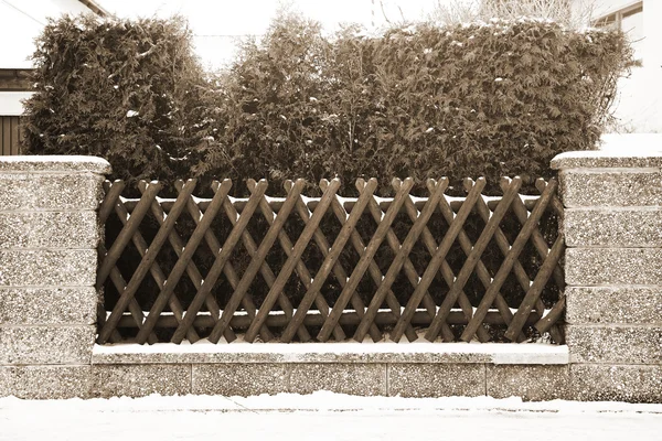 Hek in de voorkant van een huis bedekt met sneeuw — Stockfoto