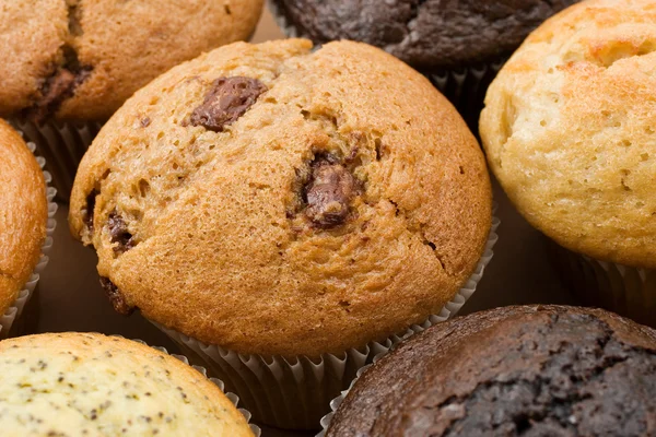 A Plate of muffins — Stock Photo, Image