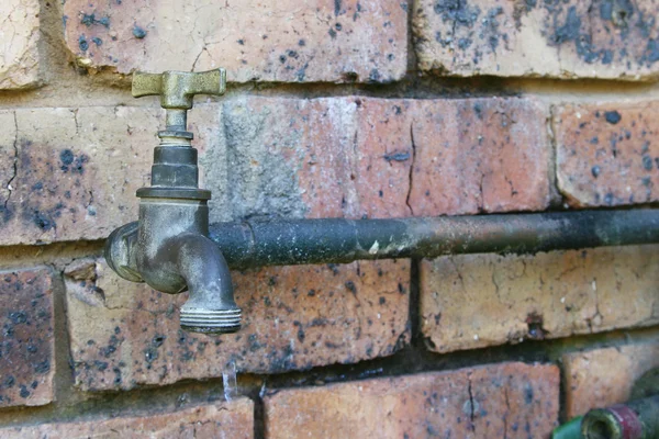 Garden Tap — Stock Photo, Image