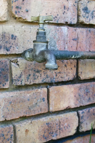 Garden Tap — Stock Photo, Image