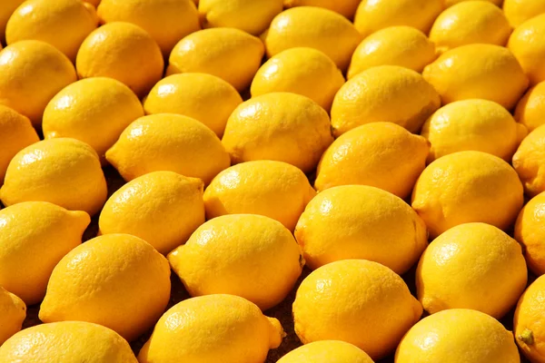 Fresh citrus background — Stock Photo, Image