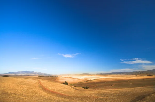 Un campo de trigo cosechado —  Fotos de Stock