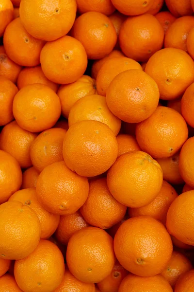 Fresh citrus background — Stock Photo, Image