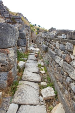 Efes city modern gün Türkiye'de eski kalıntıları