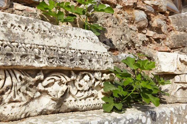 現代日トルコのエフェソス市の古い遺跡 — ストック写真