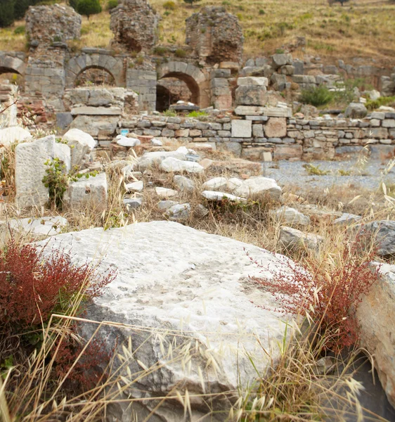 Efes city modern gün Türkiye'de eski kalıntıları — Stok fotoğraf