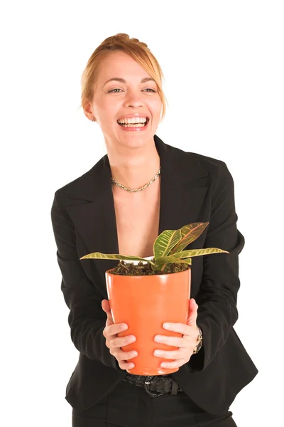 Blonde business lady — Stock Photo, Image