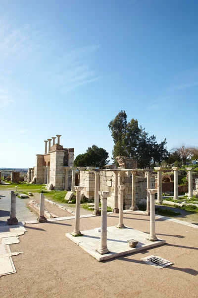 The ruins of the St. Johns Basilica — стоковое фото