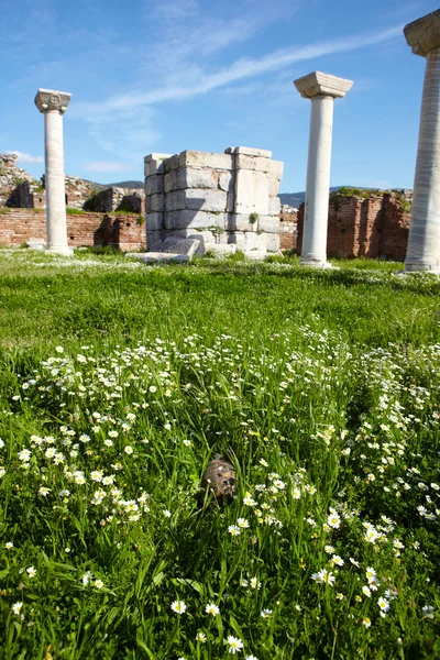 Ruinerna av basilikan St johns, Turkiet. — Stockfoto