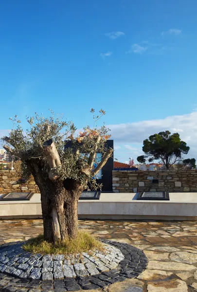 The Olive Tree as a sign of peace, that is part of the Peace Monument — Stock Photo, Image