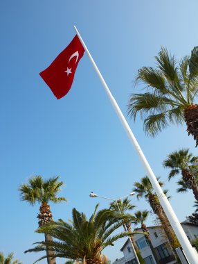 Kırmızı Türk bayrakları