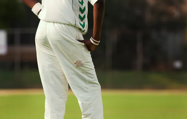 Cricketers playing — Stock Photo, Image