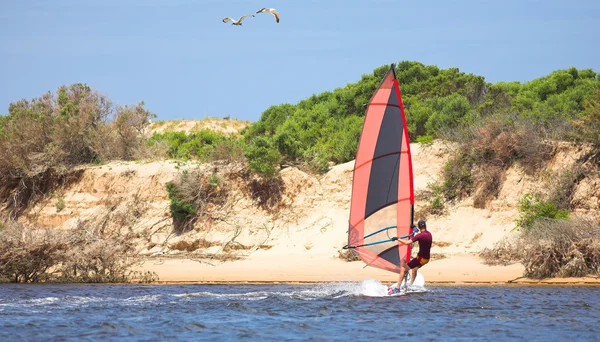 Hızlı hareketli windsurfer keurbooms lagoon, Güney Afrika, su — Stok fotoğraf