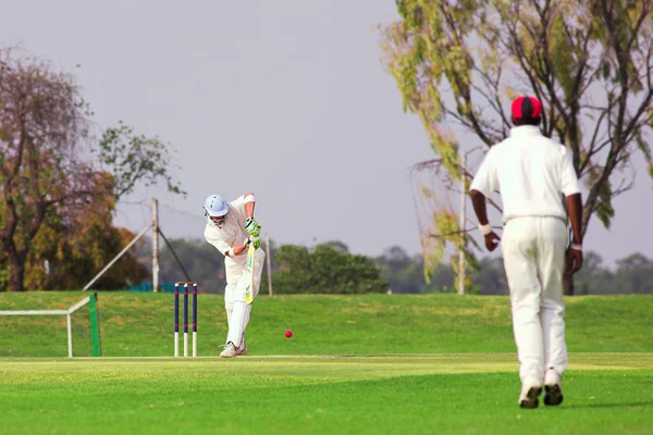 Cricketers playing — Stock Photo, Image
