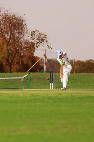 Крикетчики играют — стоковое фото