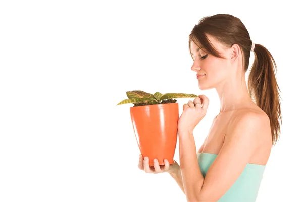 Morena mujer de negocios en un top azul claro nutriendo una planta de maceta —  Fotos de Stock