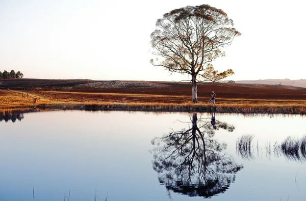 Een vliegvisser gieten van een lijn in dullstroom, Zuid-Afrika — Stockfoto