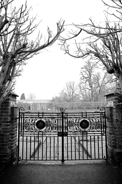 Gate and trees — Stock Photo, Image