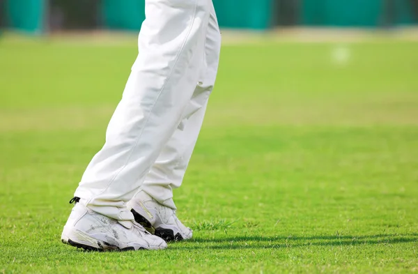 Courir Cricketer jouer en fin d'après-midi — Photo