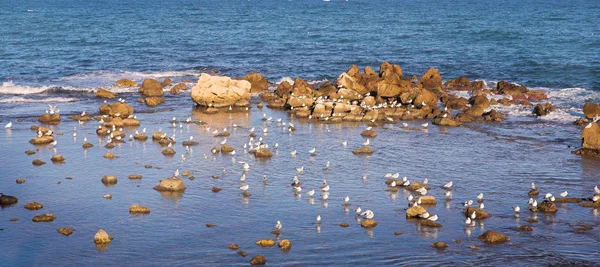 Antibes, Fransa okyanusta bir görünümü — Stok fotoğraf